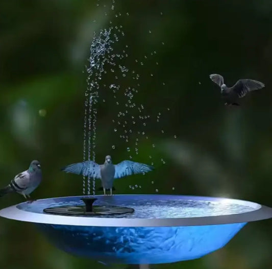 Solar water fountain